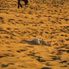 Javier Nicolas Mendoza