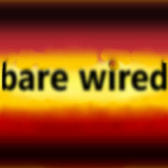 Airplane - Self command - Scarps 2004