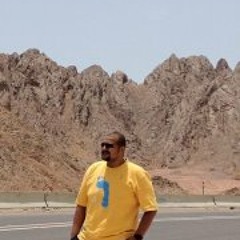 Hamada El Mostashar