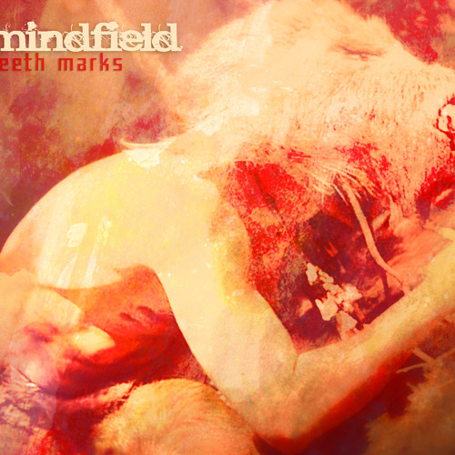 Stream ..::Mindfield::.. music | Listen to songs, albums, playlists for ...