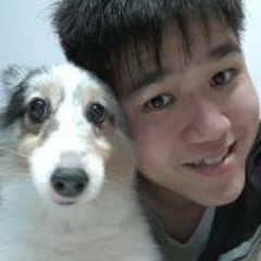 Loh Hong Jie
