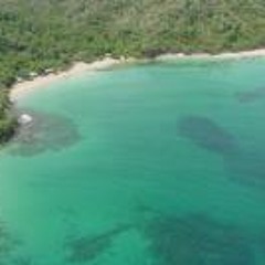 Miguel Jesús Madera B