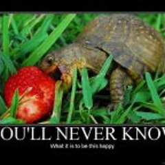 Nadira Jessamyn Narine