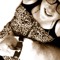 Pebbles_D