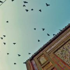 Tori har eik ada ko & Meray banay ki baat na poocho