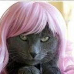 Mikael Do Nascimento