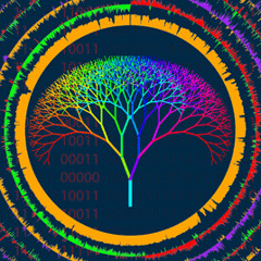 rainbown3rds-records