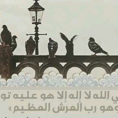 user772550860
