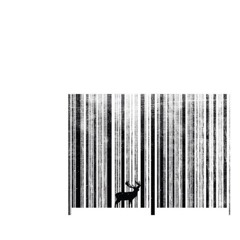 JohannHacke PeterPan