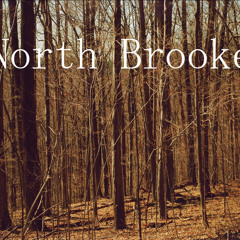 North Brooke