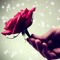 noor zainab