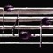 DanielBaum