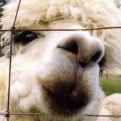 Janelle Newman Bennett