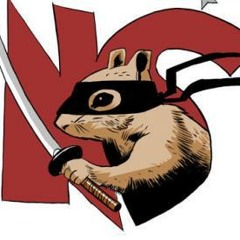 NinjaSquirrel3000