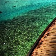 Thomas Thein Yee Wen