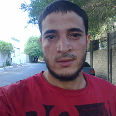 Ehab Abdelhamid