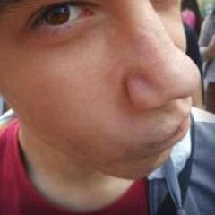 Aleksandar Bloop Antic