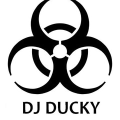 ducky1311198