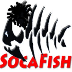 Socafish