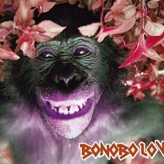 Bonobo Love
