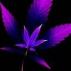 Christa Freekshow Moore