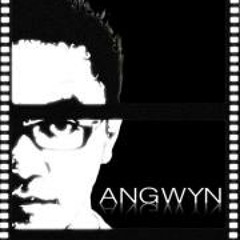 Angwyn Sulistono