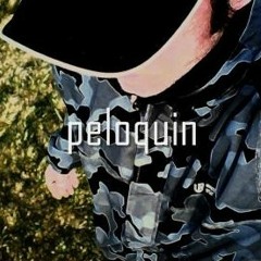 Peloquin
