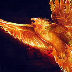 firebird-phoenix