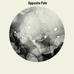 Opposite Pole