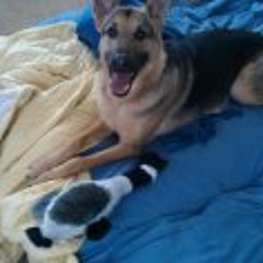 Christopher Dianetti