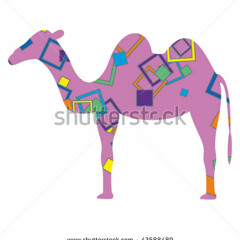 camel on