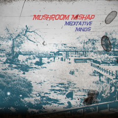 Mushroom Mishap
