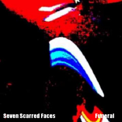 seven scarred faces