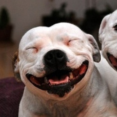 Patricia Chmielewski