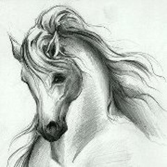 Qassim AL Dawar