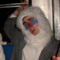 matt-in-a-hat