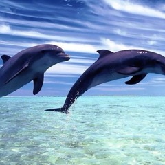 Angela Offield Pyatt