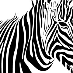 Repetition Coalition