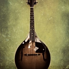 Mandolinplayinsonofab