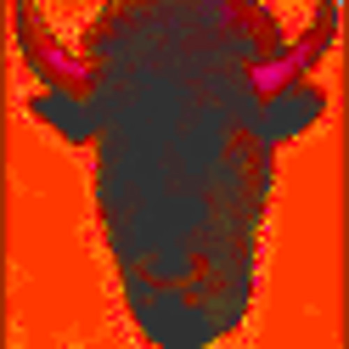 Dark Bison’s avatar