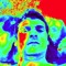Birol Metin