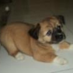 Jim Francis Abadingo