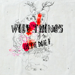 Wild Things band