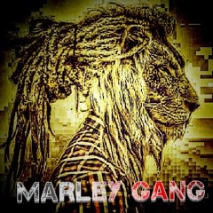 Marley Gang 187