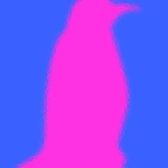 imapenguin