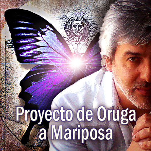 Proyecto Oruga a Mariposa’s avatar