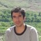 Sina Nazifi