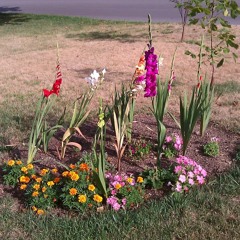 Zombie Ronald Reagan