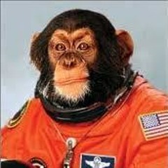 Capt Sandwich