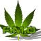 ferro-music_official